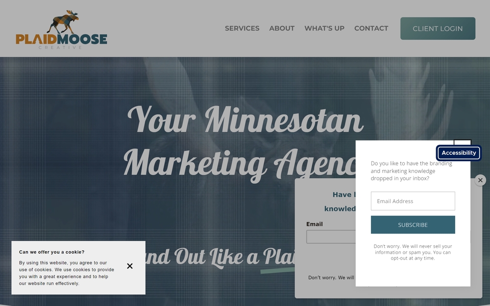 img of B2B Digital Marketing Agency - Plaid Moose Creative